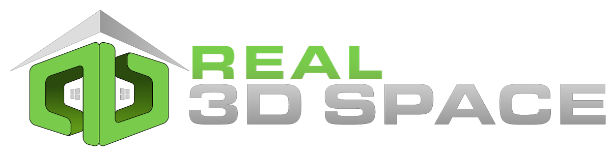 Real 3d Space Logo